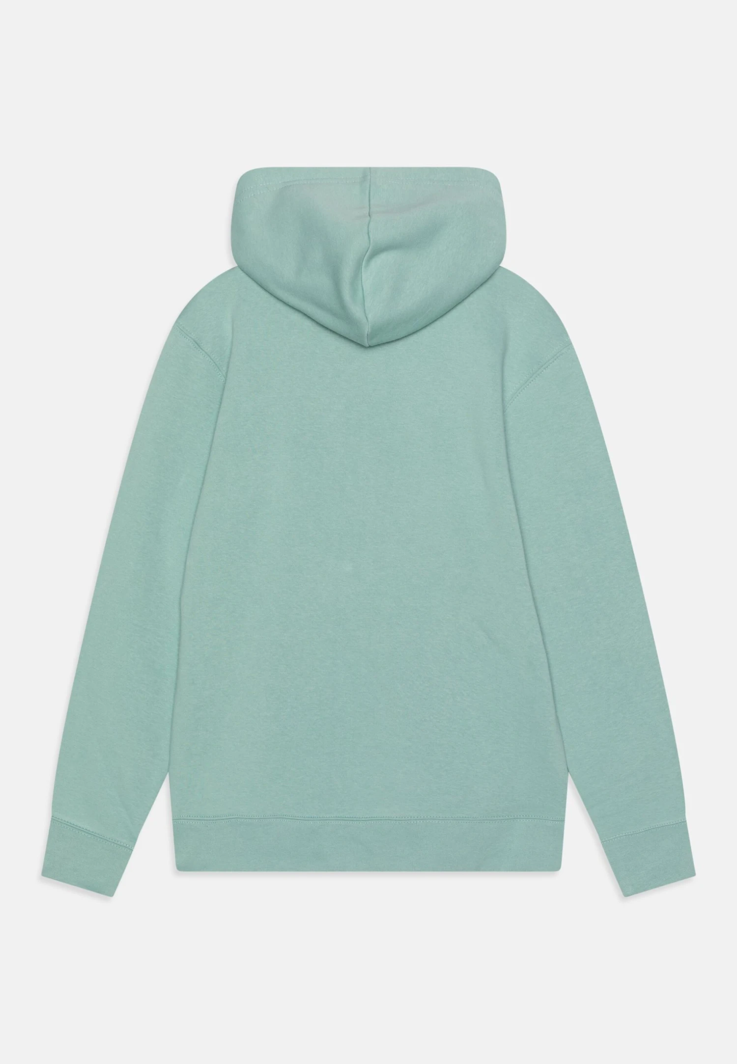 Jordan Hoodie Unisex - Hoodie - Mineral 2 Jordan Hoodie Unisex - Hoodie - Mineral - Afbeelding 2